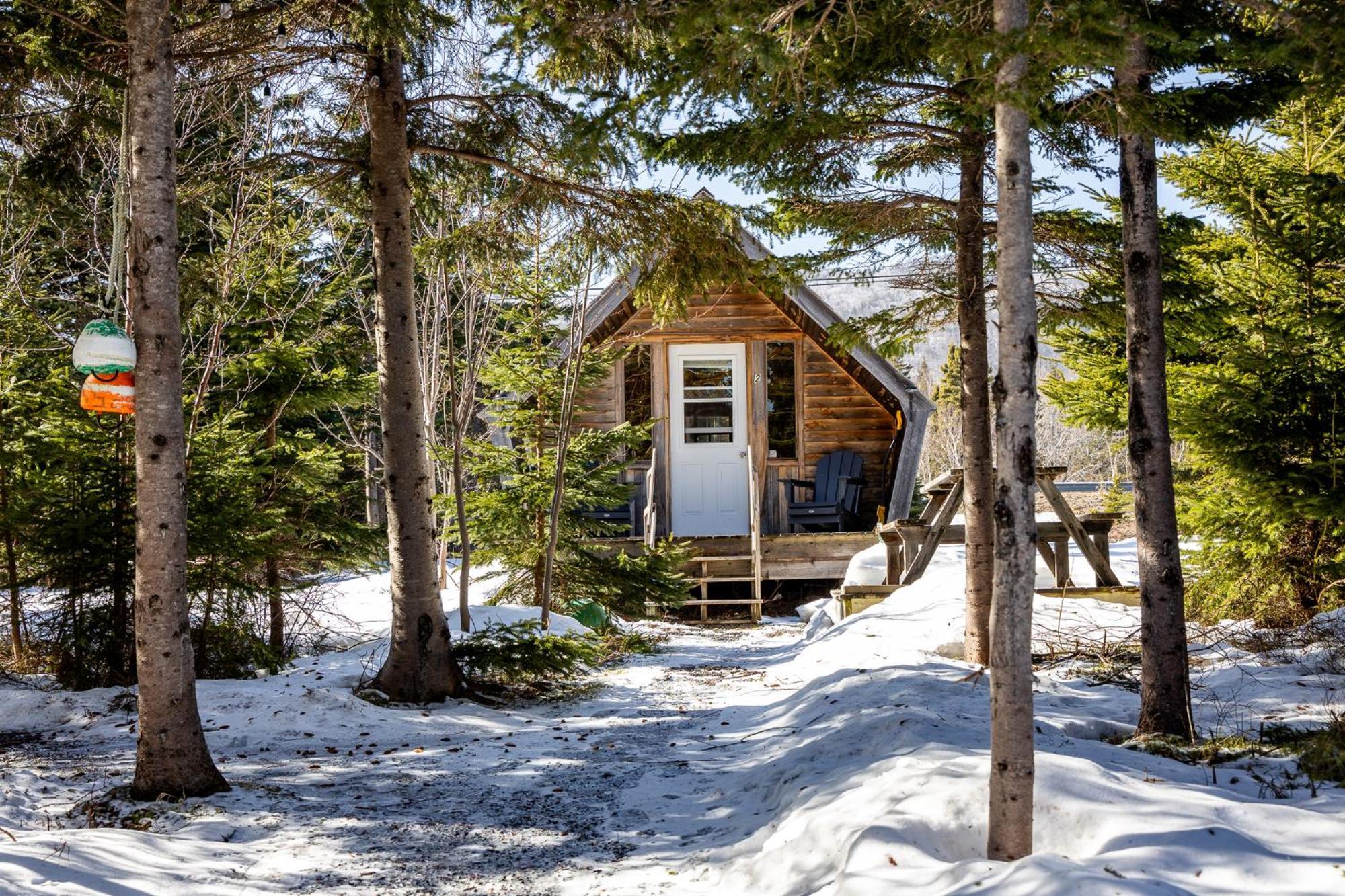 The Zzzzmoose Hotel Birch Plain Exterior photo